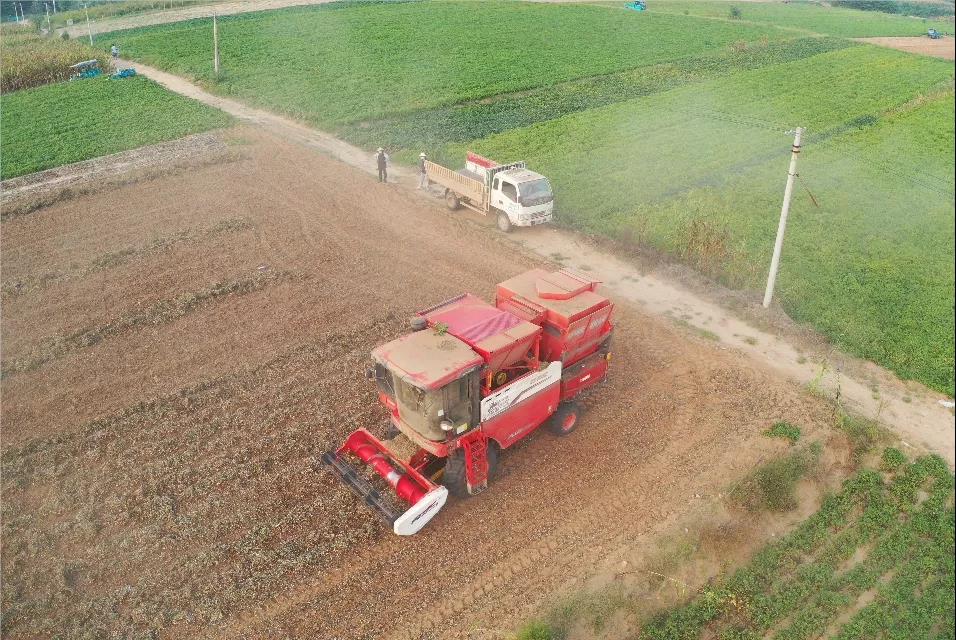 中聯(lián)收獲花生機(jī)幫我解決了家里的經(jīng)濟(jì)危機(jī) 1637232631139980.jpg