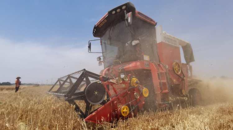 來自90后經(jīng)銷商的認(rèn)可：從小接觸新疆—2小麥機，對中聯(lián)收獲完全認(rèn)可(圖3)