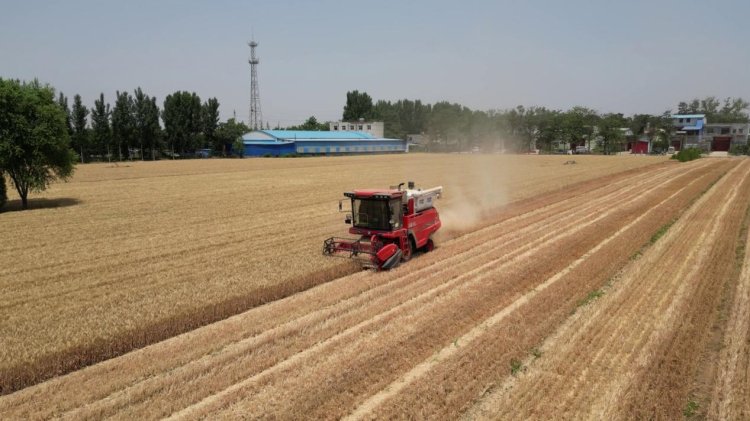 中聯(lián)收獲經(jīng)銷商的堅守:永保服務(wù)品質(zhì) 延續(xù)品牌榮耀 中聯(lián)收獲經(jīng)銷商的堅守:永保服務(wù)品質(zhì) 延續(xù)品牌榮耀(圖2)