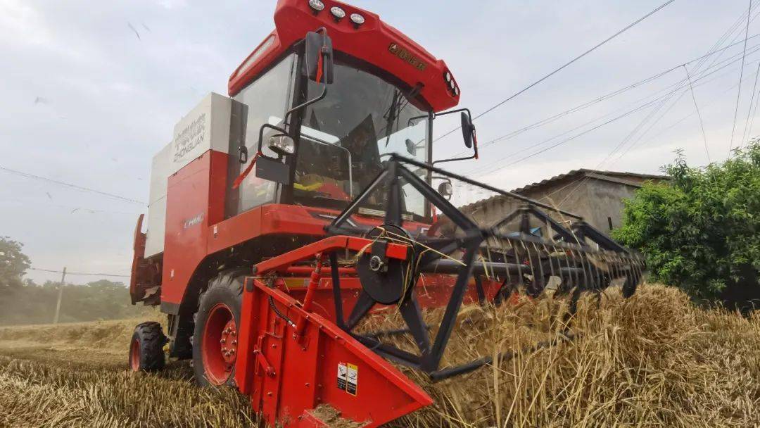 來(lái)自保定華師傅的認(rèn)可：從新疆-7到新疆-9，中聯(lián)收獲一直是我中意的品牌(圖2)