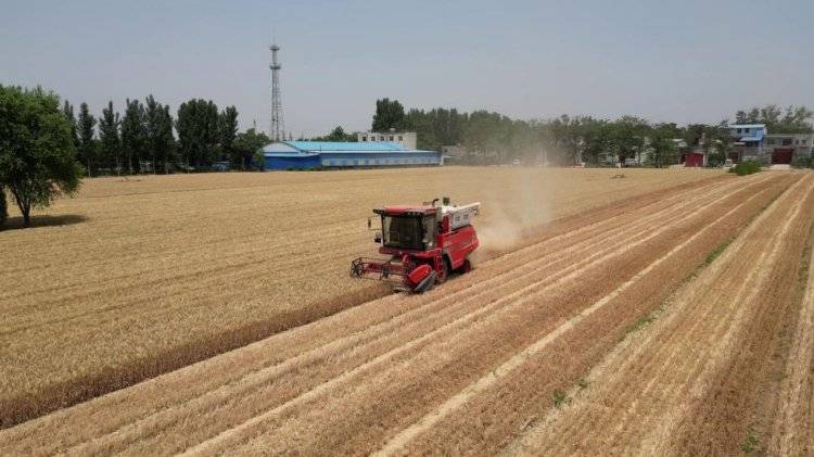 中聯收獲經銷商的堅守:永保服務品質 延續(xù)品牌榮耀