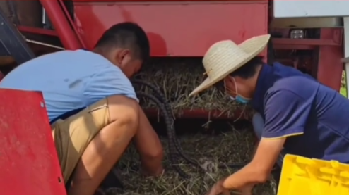 張新龍命運(yùn)的齒輪開始轉(zhuǎn)動源于中聯(lián)收獲 640 (3).png