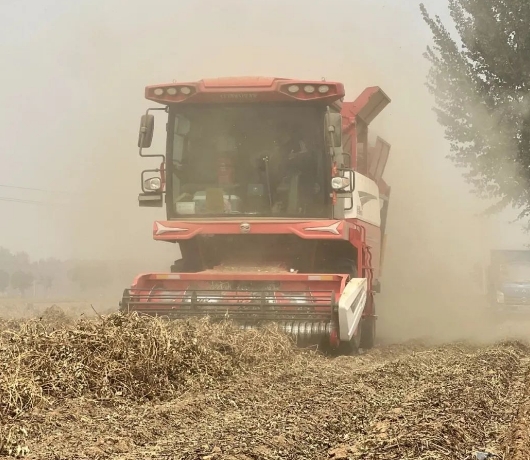 從麥客到花生王:渭南拜師傅的跨賽道致富經(jīng) 2.jpg